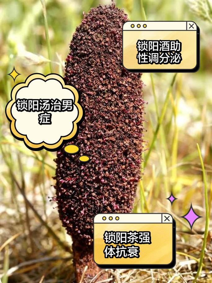 阳元醇有副作用吗？这篇文章告诉你真相！