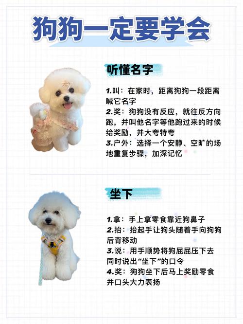 狗狗养成大作战怎么玩？新手快速上手攻略看这里！