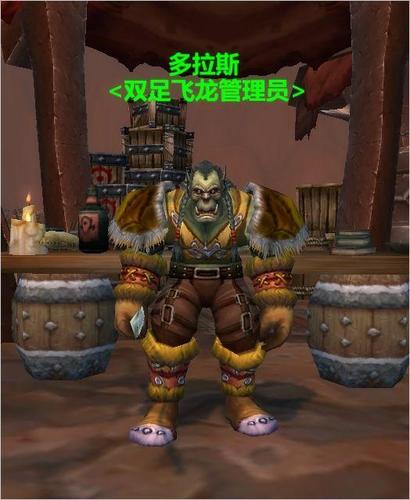 魔兽世界npc怎么用？教你和游戏角色互动！