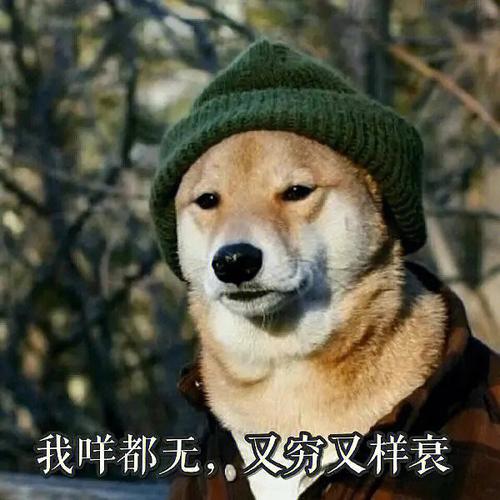 食烟食骆驼粤语什么梗？这句话原来是这样来的！