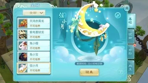 随机坐骑宏怎么用？不同场景坐骑切换技巧分享！