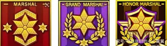 游戏军衔等级图片_荣耀元首_新军衔图标