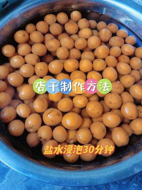 自制浆果捞详细步骤，新手也能零失败！