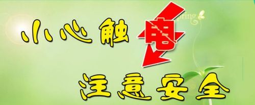 野猪怎么打才合法合规？这些注意事项要知道！