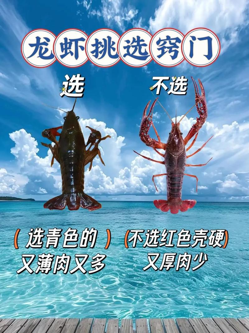 皮皮虾我们走是什么梗？皮皮虾这个梗你了解吗？