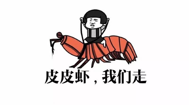 皮皮虾我们走是什么梗？皮皮虾这个梗你了解吗？