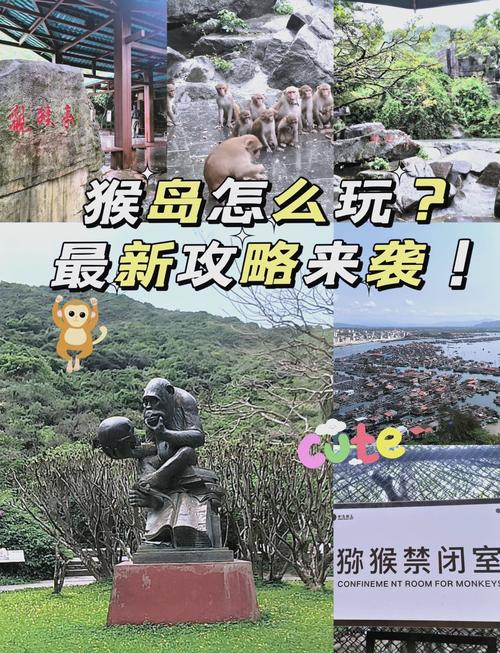 跑跑猴岛好玩吗？体验过的玩家都说赞！