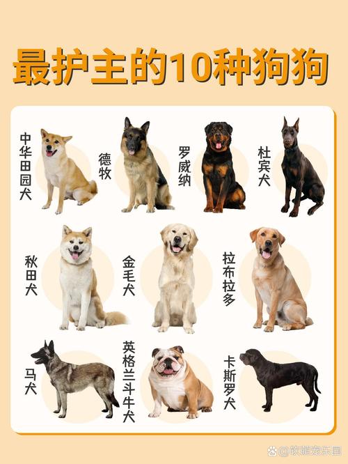 超级狗狗中文版都有哪些角色？人物介绍大盘点！