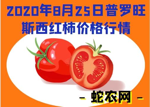 迅捷祖立安黑豹多少钱？最新价格行情一览表！