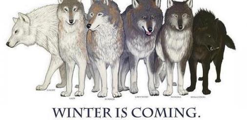 权利的游戏史塔克家族最终结局_权力的游戏 冰原狼 史塔克家族