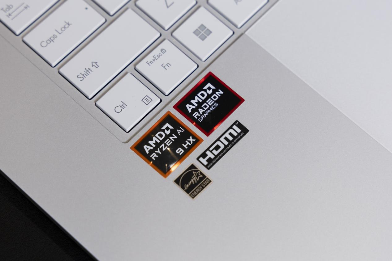 AMD Radeon 890M RDNA 3.5核显性能评测_amd wx3100的游戏性能_锐龙AI 300系列大小核CPU表现分析