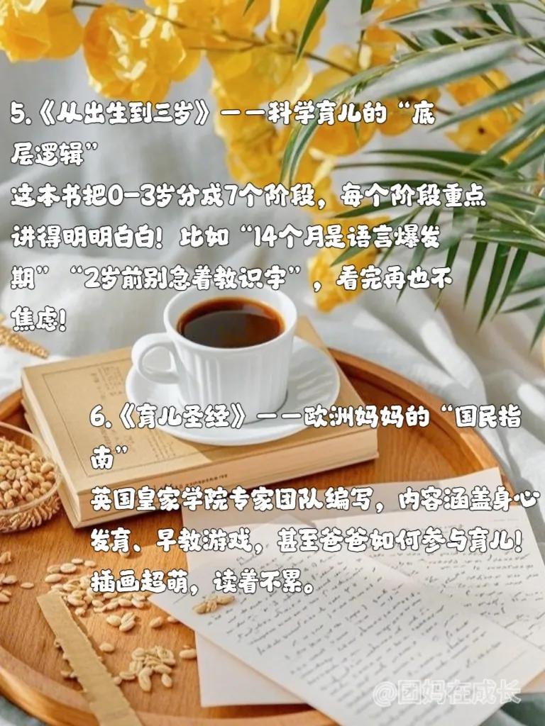 全职宝妈育儿书单_新手妈妈推荐书籍_早教游戏0-3岁