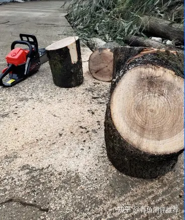 电锯选购指南_电锯杀僵尸的游戏_性价比高的电锯推荐