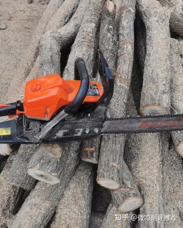 电锯品牌推荐_家用电锯选购指南_电锯杀僵尸的游戏