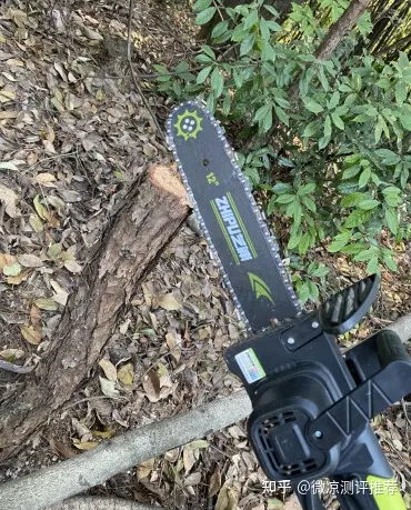 家用电锯选购指南_电锯品牌推荐_电锯杀僵尸的游戏