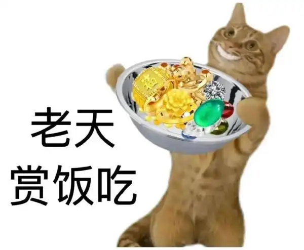 直播弹幕游戏 商业潜力 观众参与模式_弹幕游戏怎么玩