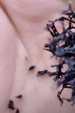 磁力珠 巴克球 危险玩具_发泄游戏玩具