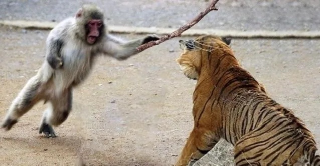 烧饼游戏修改器源_黑神话悟空游戏修改器骗局_警惕游戏修改器诈骗