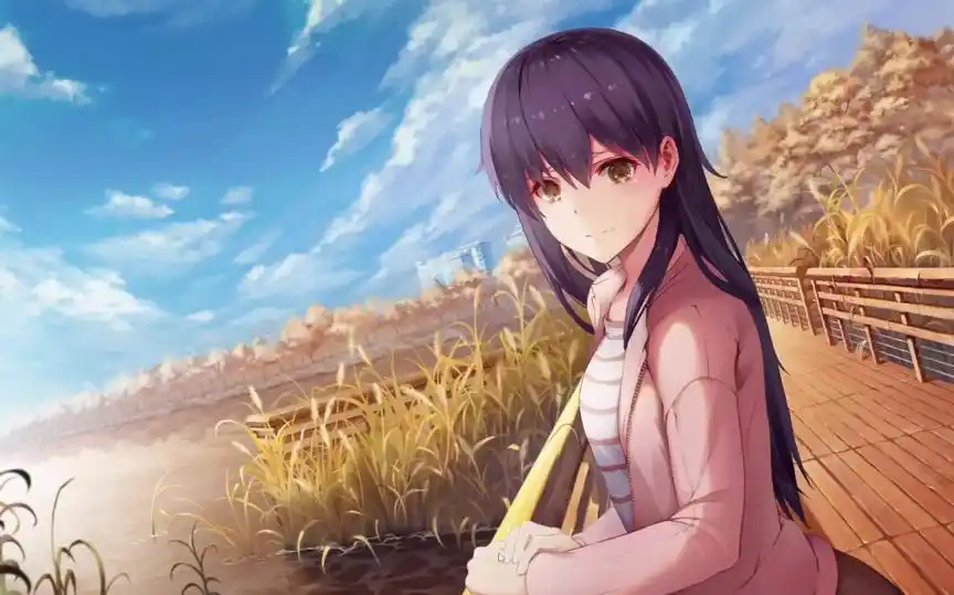 日本美少女游戏文艺批评中国语境_侮辱美女的游戏_恋爱模拟游戏真人影像互动分析
