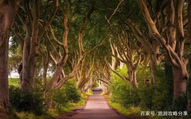 权力的游戏 旅行指南_权力的游戏 剧集拍摄地_权力的游戏绝境长城
