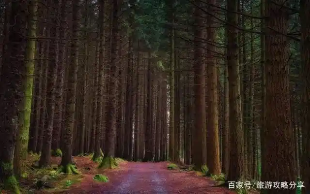 权力的游戏绝境长城_权力的游戏 剧集拍摄地_权力的游戏 旅行指南