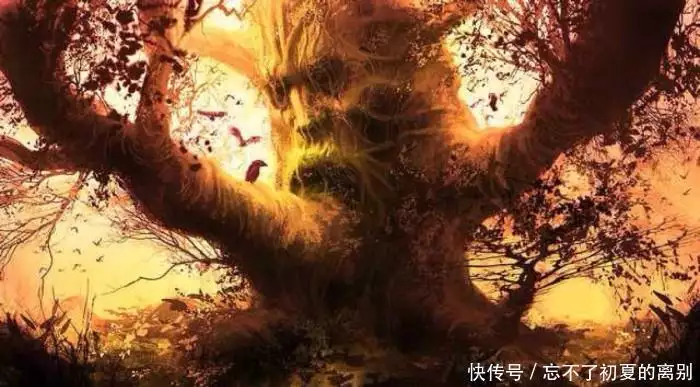 权力的游戏 旧神 森林之子_权力的游戏旧神和新神