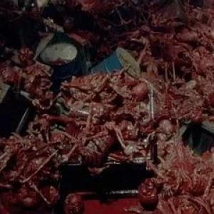 极度深寒游戏图文攻略_鬼玩人1-2-3_死亡日记1-2-3