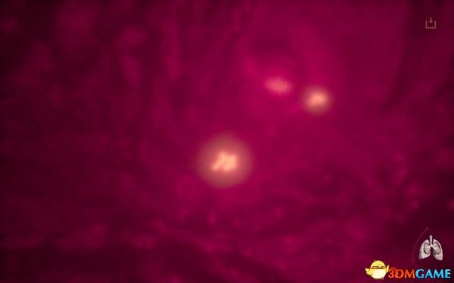 痛苦地狱 图文攻略 全章节剧情流程攻略