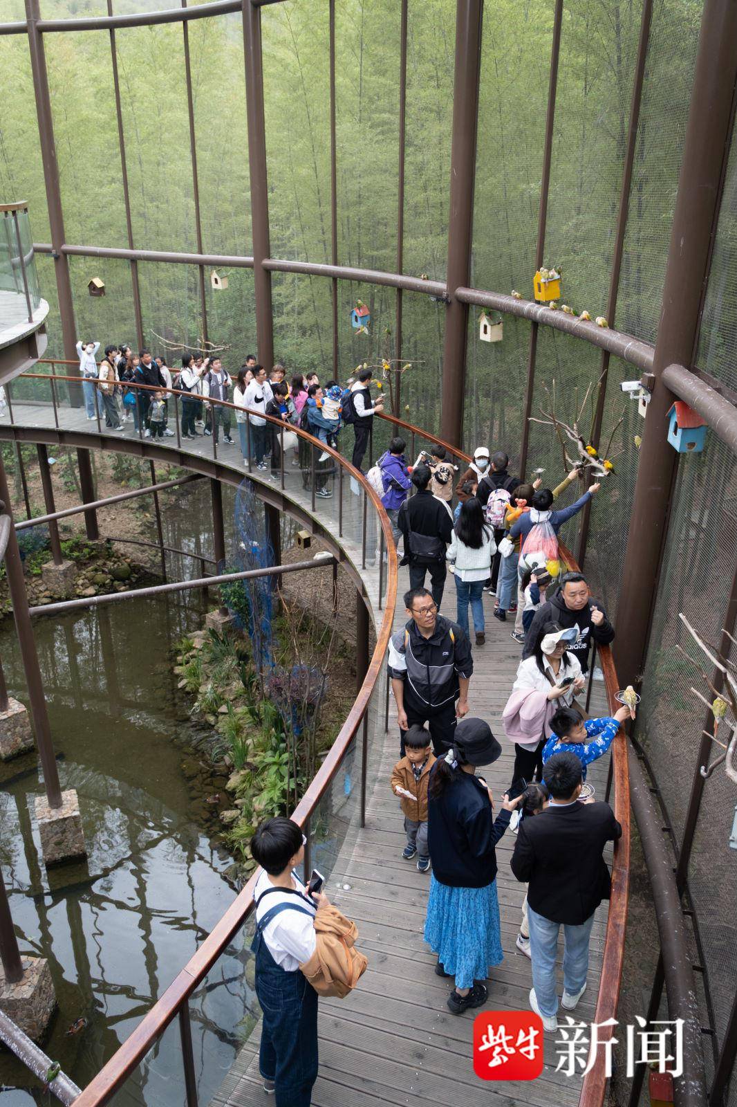 江苏溧阳同城游戏_溧阳五一文旅市场复苏_溧阳乡村旅游火爆出圈