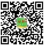 体能游戏_幼儿园户外游戏_动作猜谜游戏