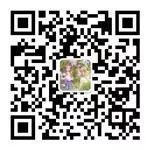 动作猜谜游戏_幼儿园户外游戏_体能游戏