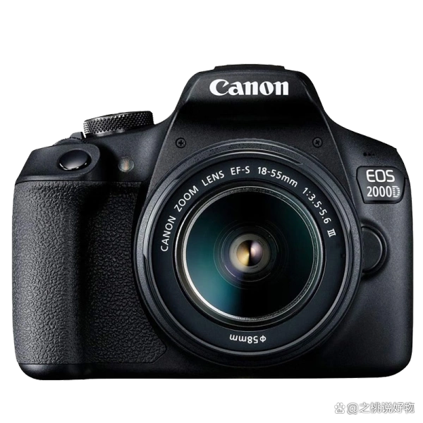 数码摄像机像素_佳能EOS R6 Mark II评测_数码相机选购指南