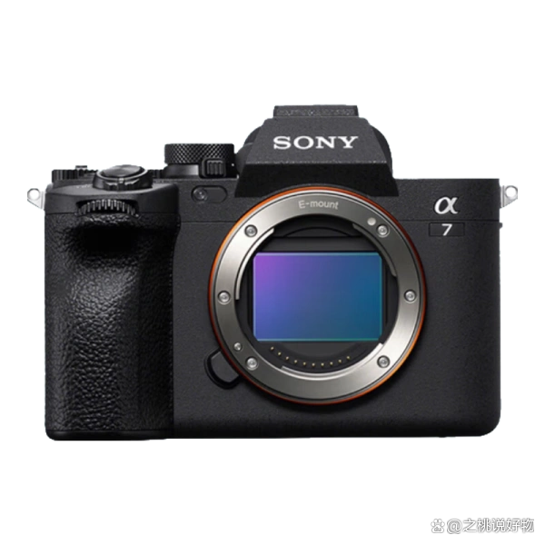 佳能EOS R6 Mark II评测_数码相机选购指南_数码摄像机像素