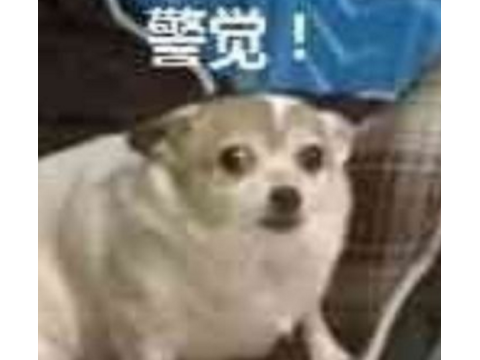 穿越火线魔改电视剧_穿越火线女名字大全_CF老玩家对鹿晗代言的反应