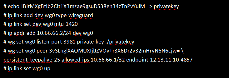 vpn教程_Wireguard VPN 介绍与使用_Wireguard VPN 工作原理