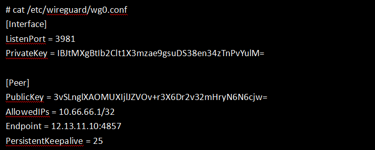 Wireguard VPN 工作原理_Wireguard VPN 介绍与使用_vpn教程