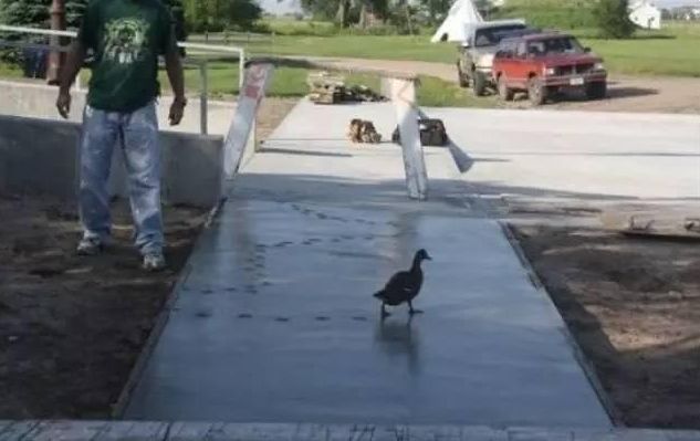 倒霉事件_缺德图片_搞笑倒霉瞬间