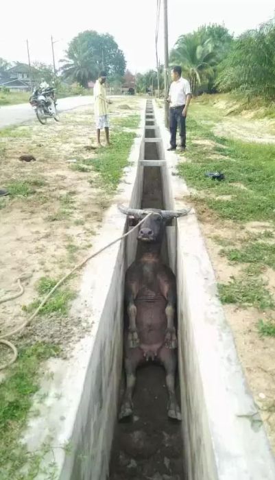 缺德图片_搞笑倒霉瞬间_倒霉事件