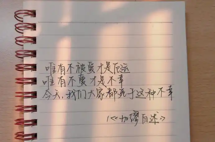 市场情绪波动_追涨杀跌韭菜收割机_火爆现象