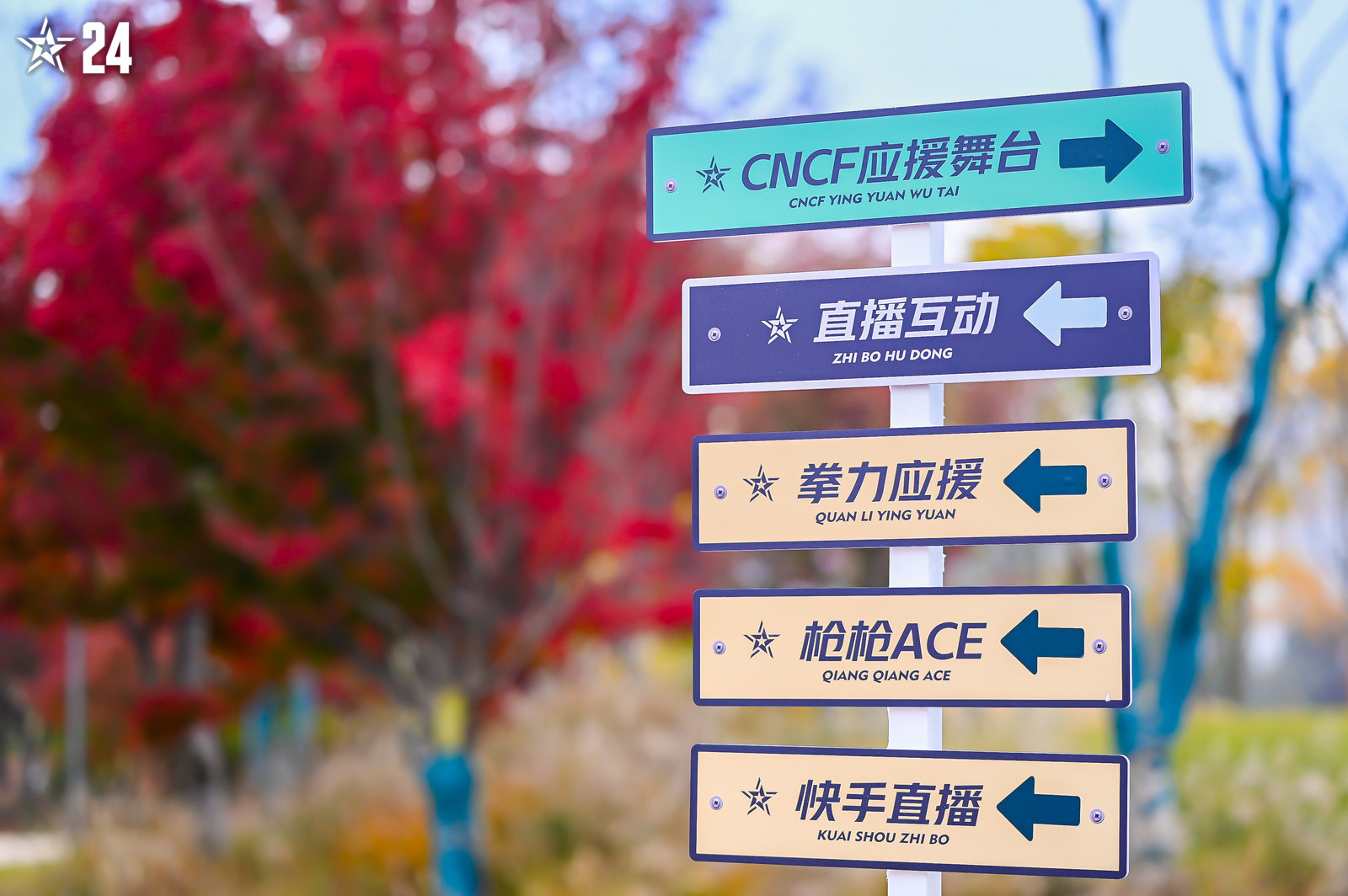 CFPL赛区荣耀时刻_2026wcg穿越火线总决赛_2024CFS世界总决赛EP.快手夺冠