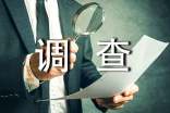小学生消费调查报告