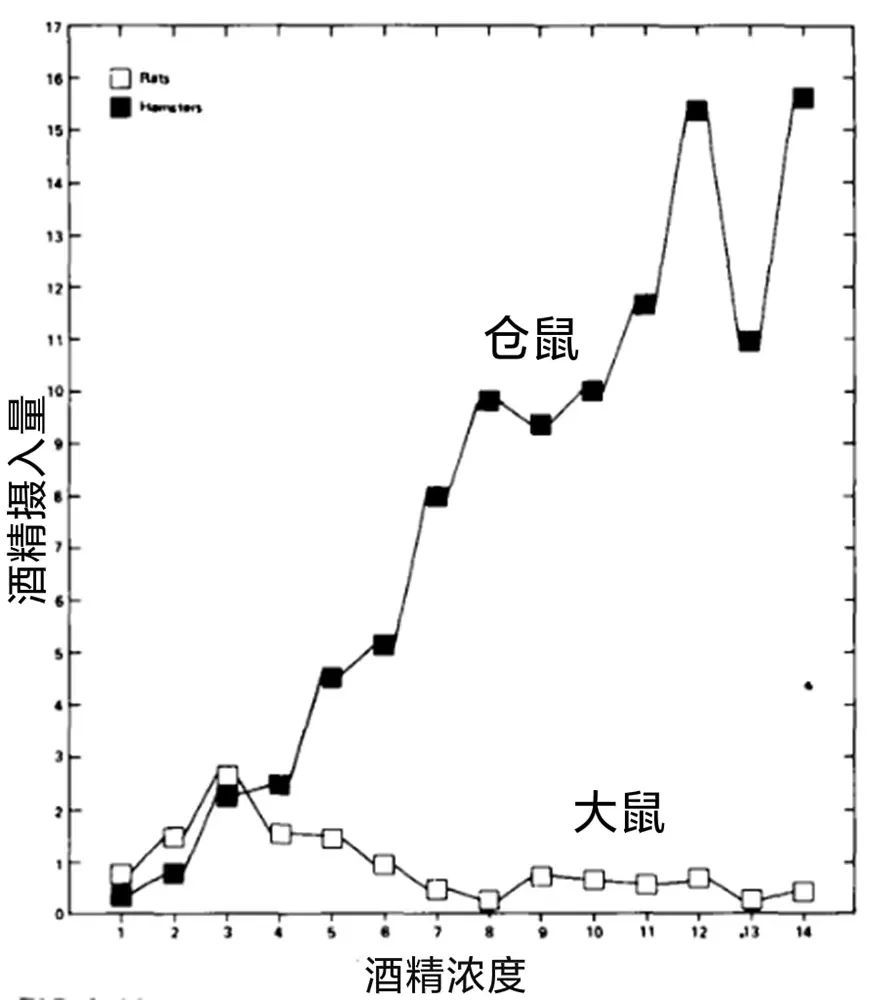 一天96瓶啤酒，再能喝的人也拼不过仓鼠