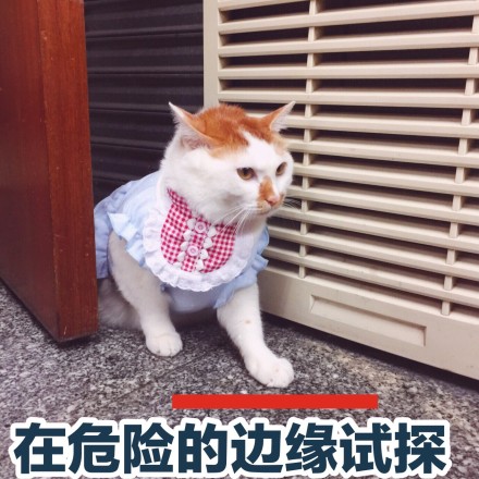 密室逃脱火了！如何成为高玩，五个逃脱小技巧请收好！