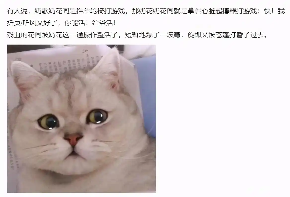 剑网三PVP职业强弱_剑网三竞技场职业_剑网三竞技场花间奶花阵容