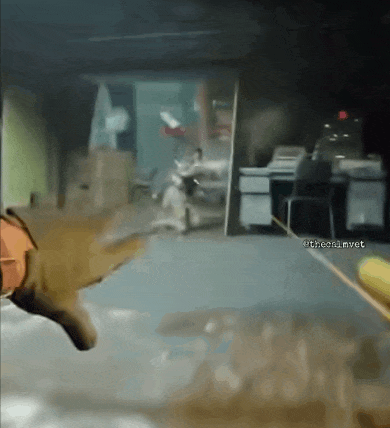 使命召唤战区手游停止更新_使命召唤10免安装中文硬盘版下载_使命召唤手游优化问题