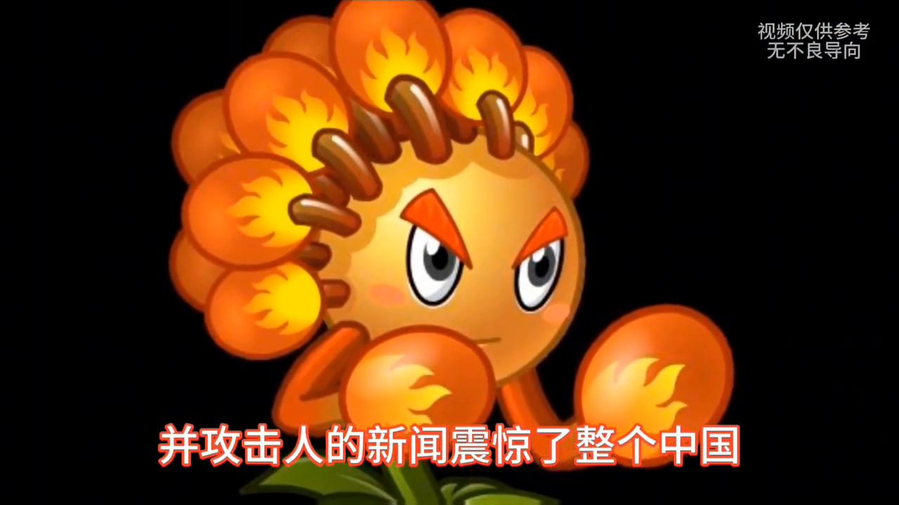 现实中会不会有丧尸_中国僵尸现象历史传说_世界未解之谜僵尸真的存在吗