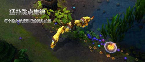 奈德丽双修打法_奈德丽法伤打法_打野豹女攻略玩法s7