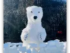 寒假礼物 | 中报小记者媒介素养冰雪营