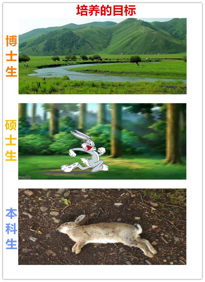 看这14张图，就能懂得博士、硕士和本科生的区别
