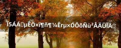 ​侠盗猎车手罪恶都市车子怎样才能下水（侠盗飞车怎么让车下水)